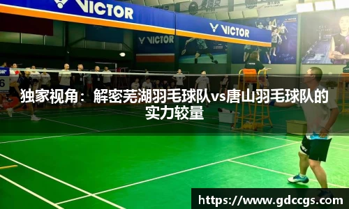 独家视角：解密芜湖羽毛球队vs唐山羽毛球队的实力较量