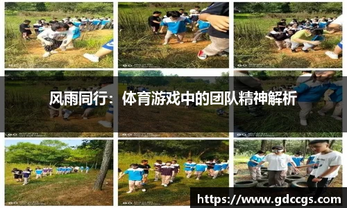 风雨同行：体育游戏中的团队精神解析