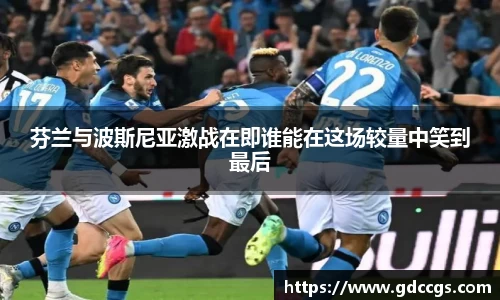 芬兰与波斯尼亚激战在即谁能在这场较量中笑到最后